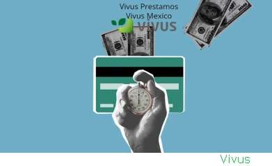 Vivus Credit Lt